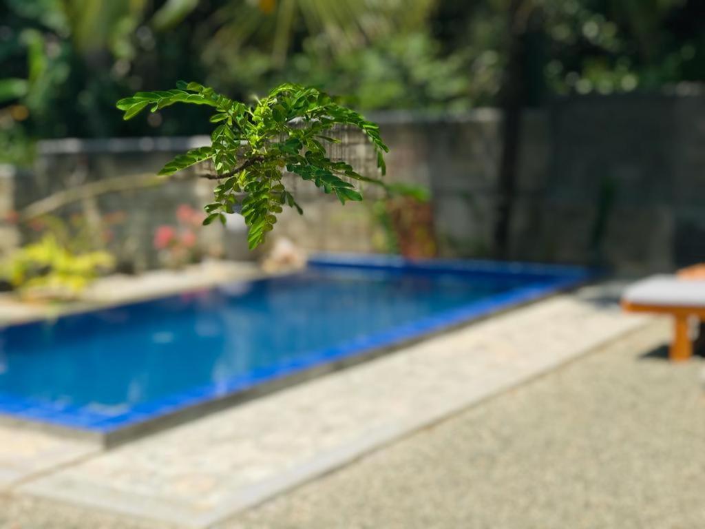 Peaceful Green Villa Unawatuna Bagian luar foto