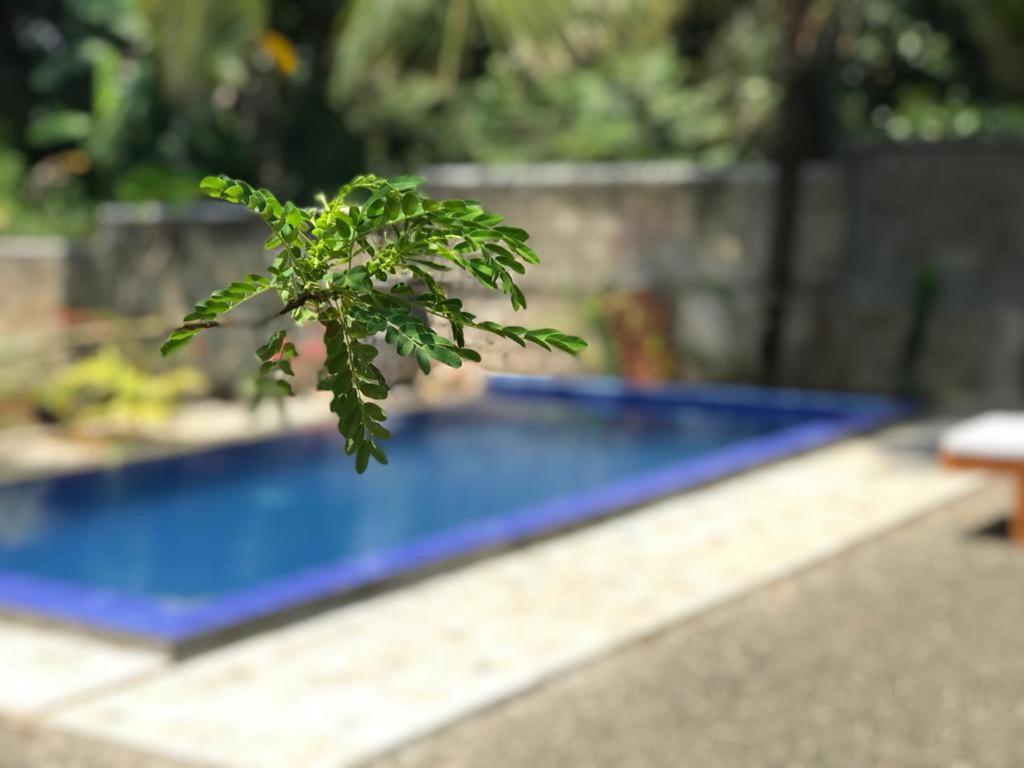 Peaceful Green Villa Unawatuna Bagian luar foto